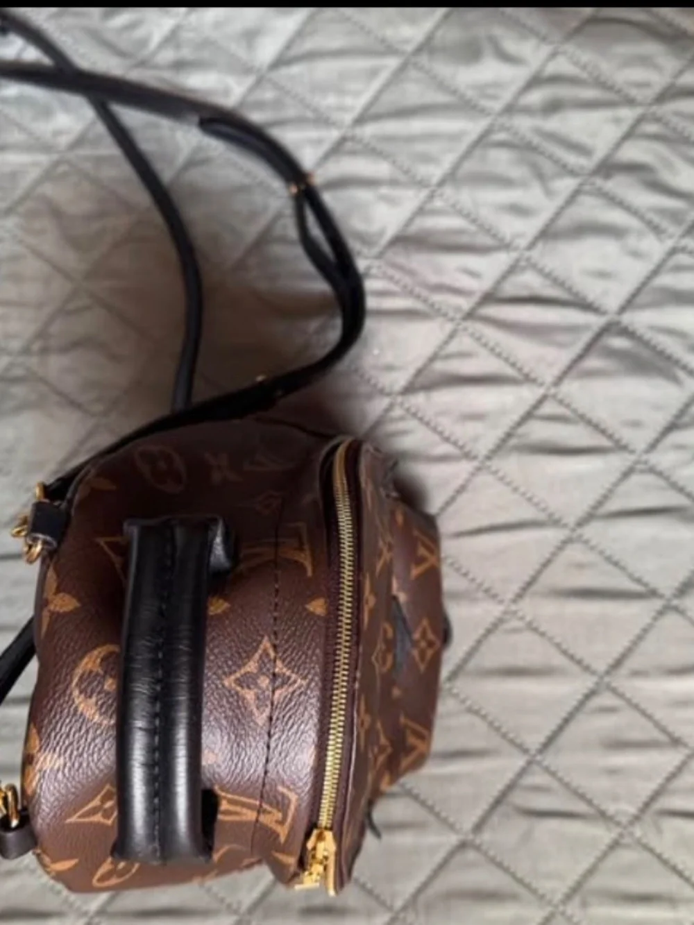 Louis Vuitton palm spring mini backpack